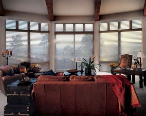 nuntucket easyrise livingroom window blinds