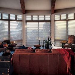nuntucket easyrise livingroom window blinds